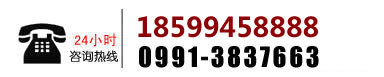 2631376258